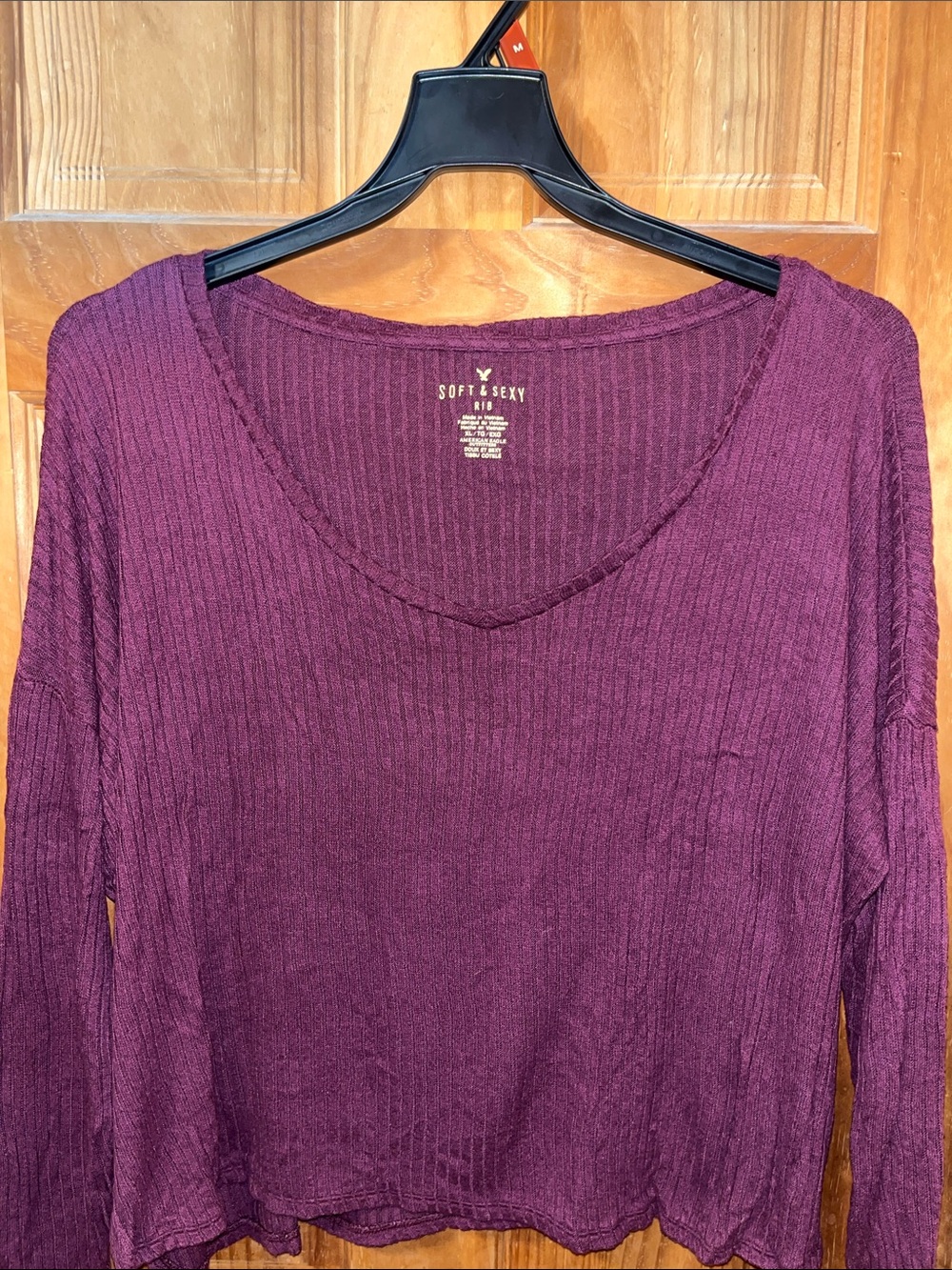 American Eagle Outfitters Soft & Sexy Ribbed V-Neck Long Sleeve Top - Plum